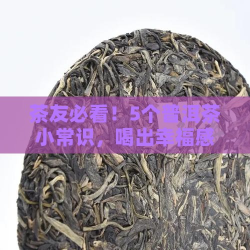 普洱茶5个常识