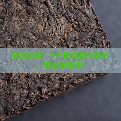 普洱茶5个常识