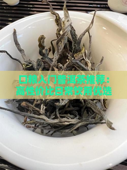 口粮入门普洱茶