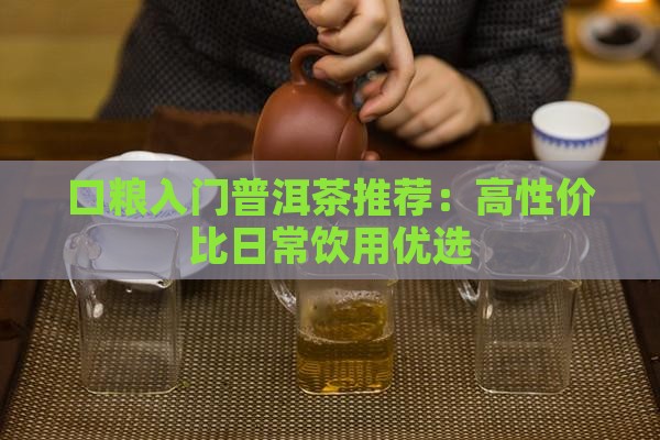 口粮入门普洱茶