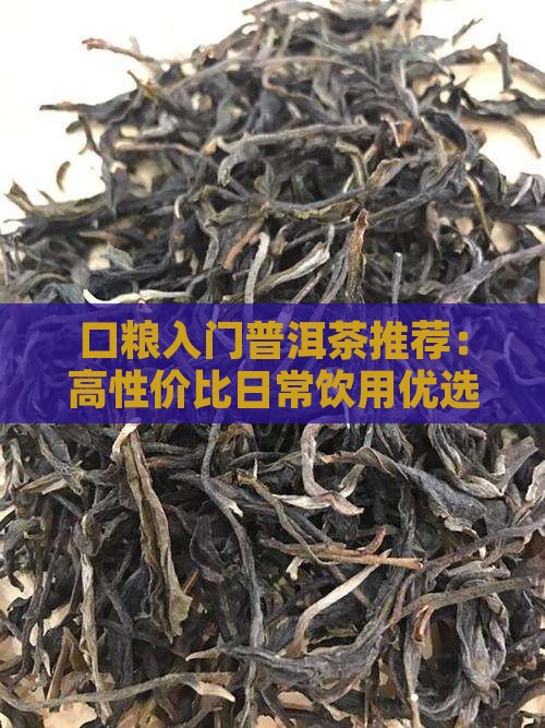 口粮入门普洱茶