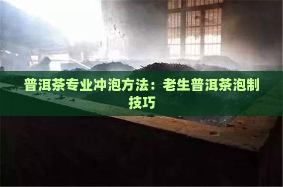 老生茶普洱茶泡法