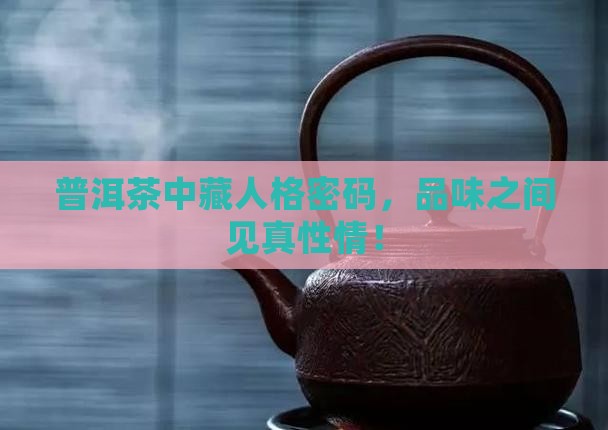 普洱茶寓意人的品格