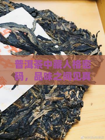 普洱茶寓意人的品格