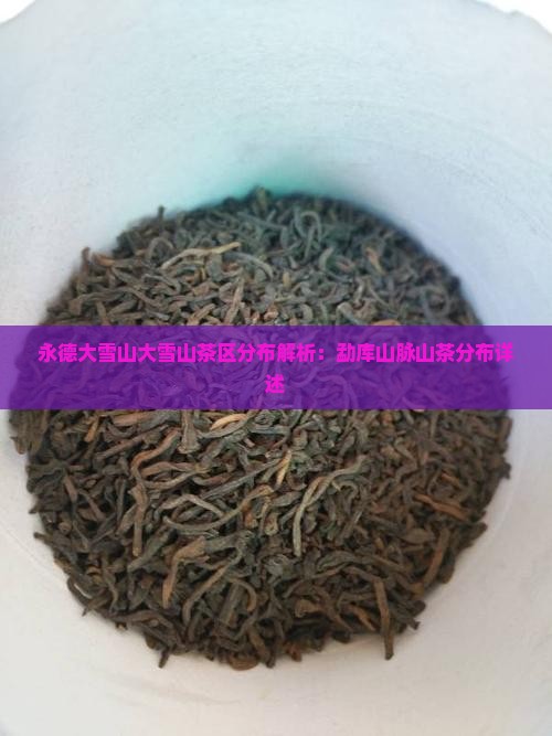 永德大雪山茶区分布