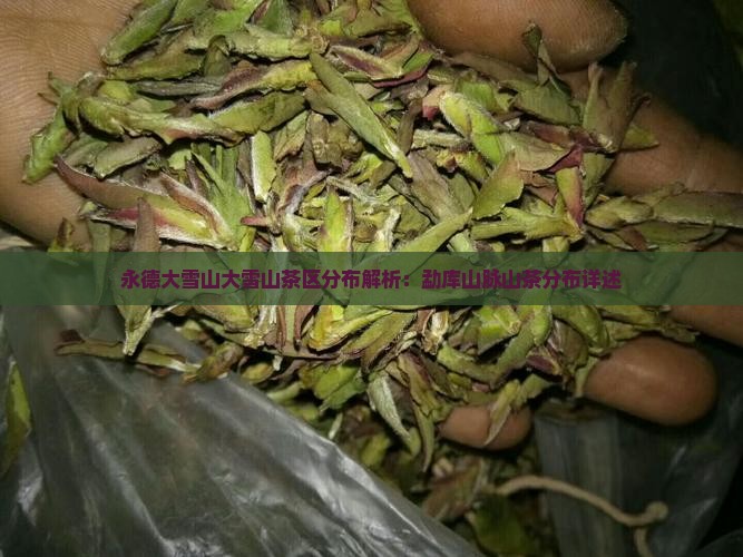 永德大雪山茶区分布