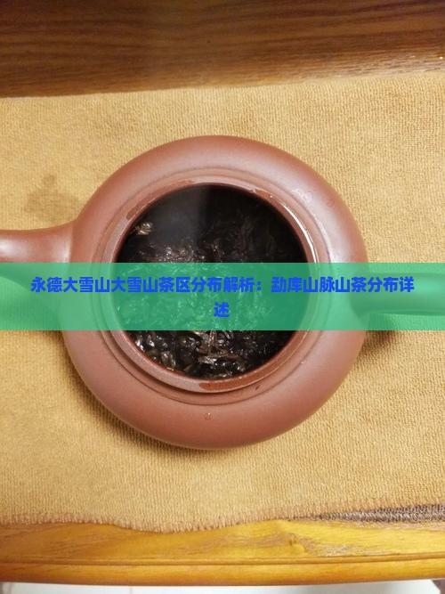 永德大雪山茶区分布