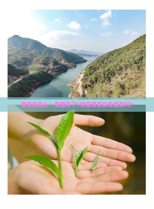 普洱茶长期储存好不好