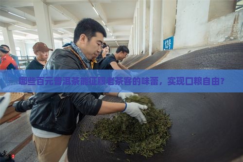百元普洱茶口粮推荐