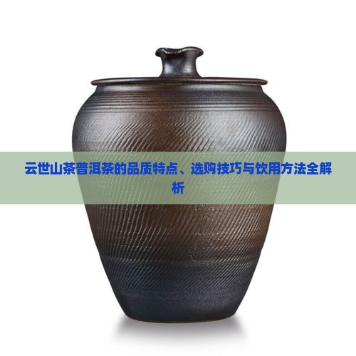 云世山茶普洱茶