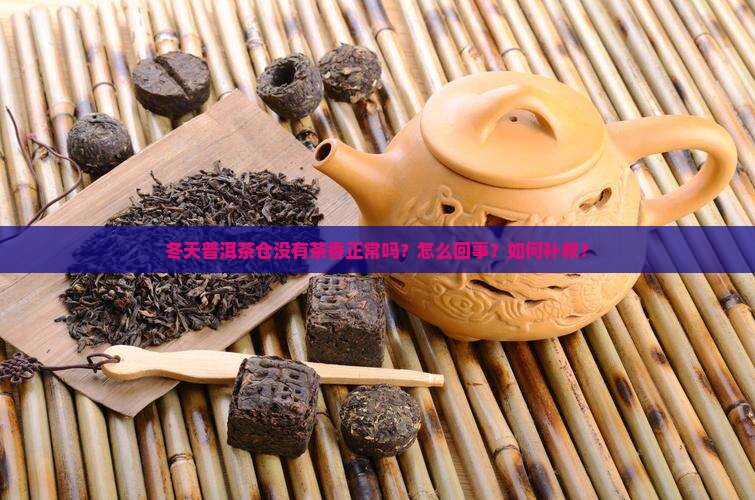 冬天普洱茶仓没有茶香