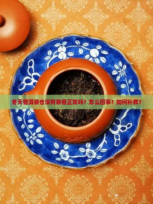 冬天普洱茶仓没有茶香