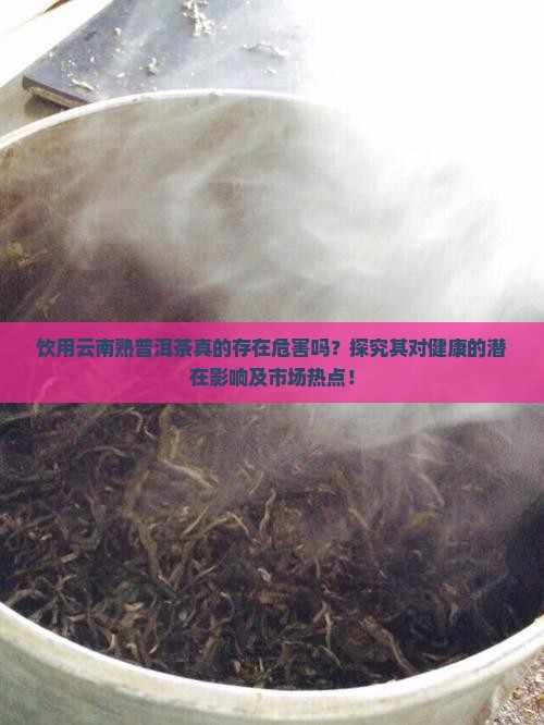 喝云南熟普洱茶有危害吗
