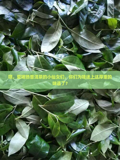 爱喝熟普洱茶的年轻女生