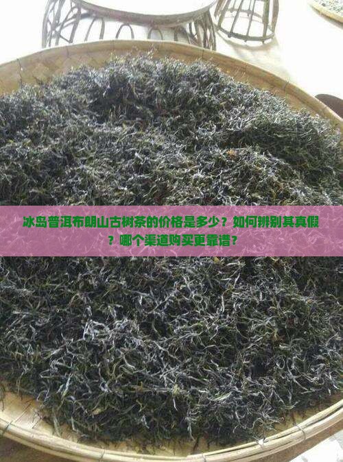 冰岛普洱布朗山古树茶价格