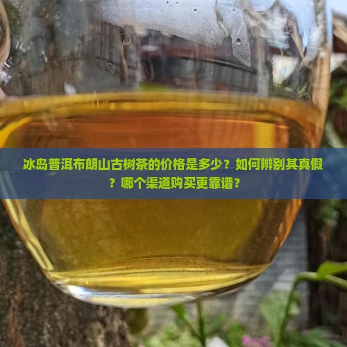 冰岛普洱布朗山古树茶价格