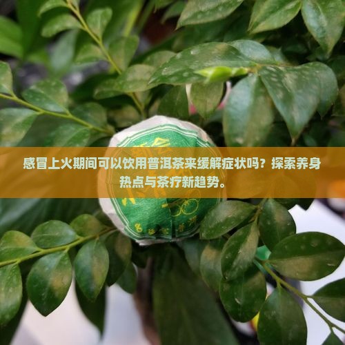 感冒上火可以喝普洱茶吗