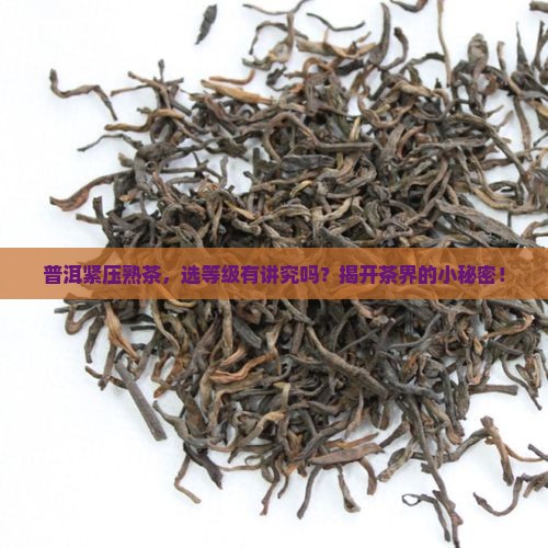 普洱紧压熟茶需要等级吗