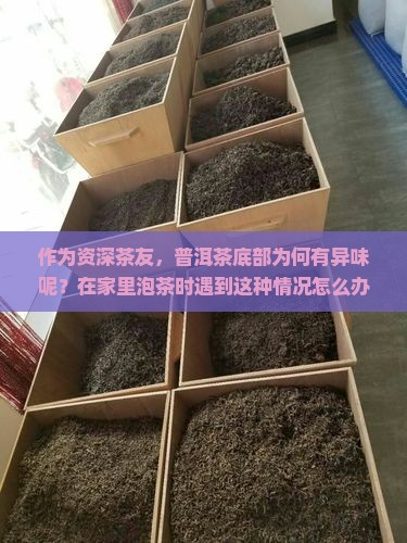 普洱茶底有异味吗好吗