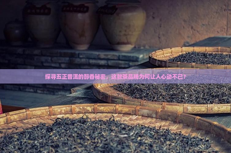 五正普洱茶品牌