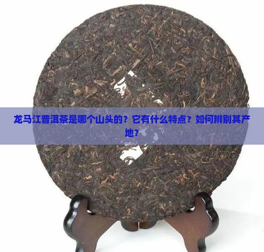 龙马江普洱茶是哪个山头的