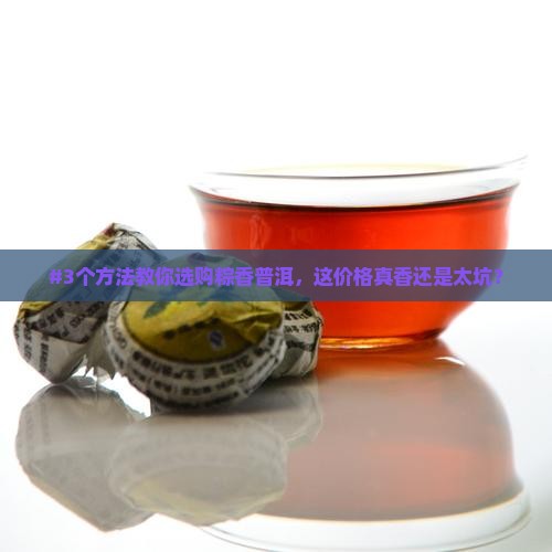 粽香普洱茶多钱