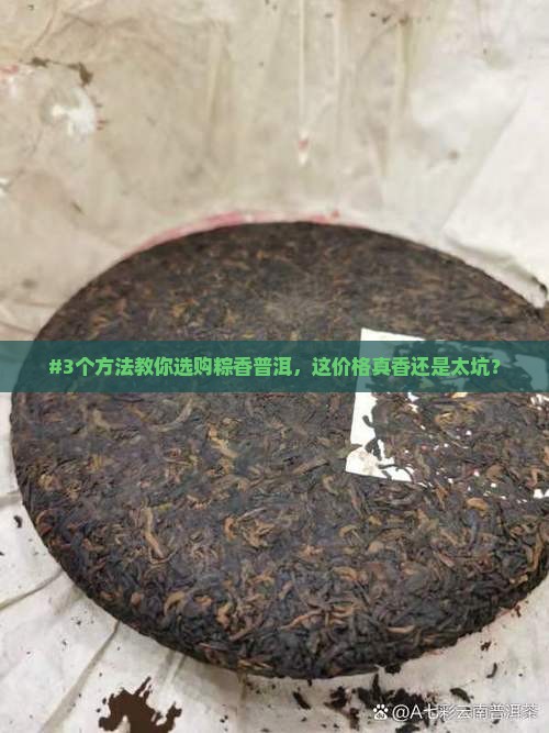 粽香普洱茶多钱
