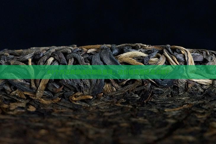 粽香普洱茶多钱