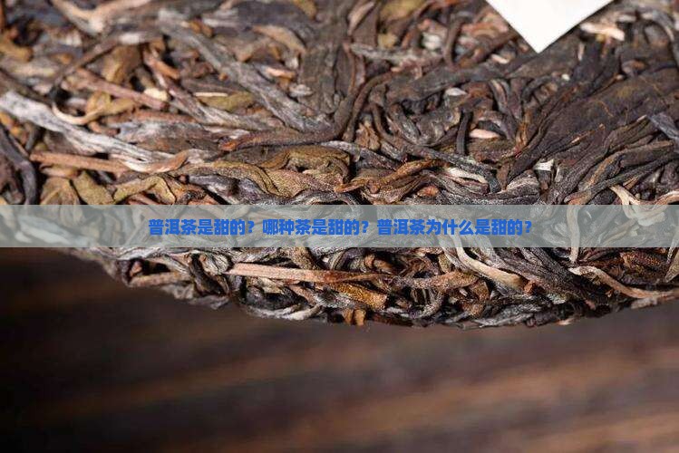 普洱茶是甜的是哪种茶