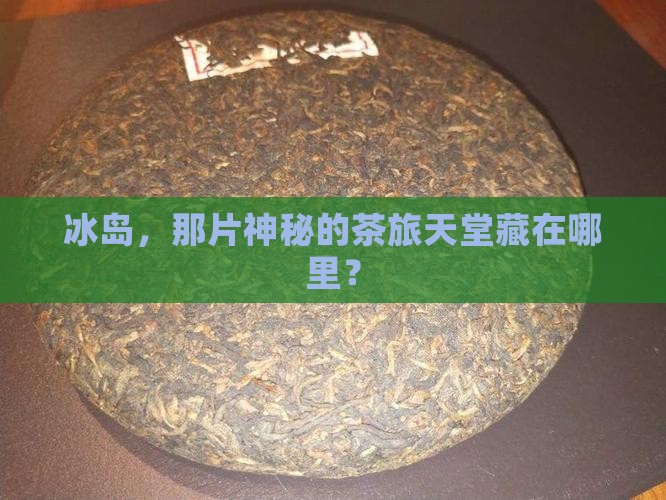 茶旅冰岛在哪里