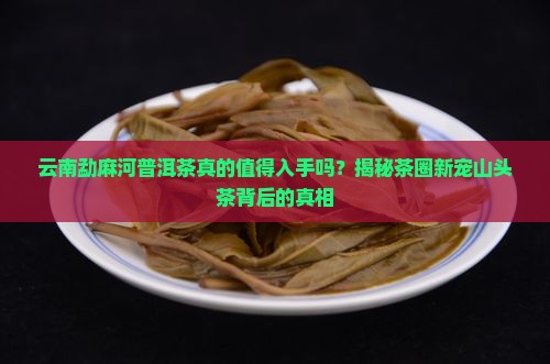 云南勐麻河普洱茶