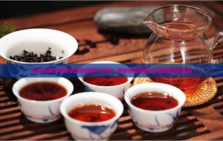 云南勐麻河普洱茶