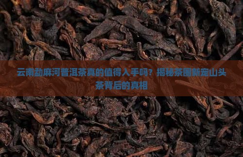 云南勐麻河普洱茶