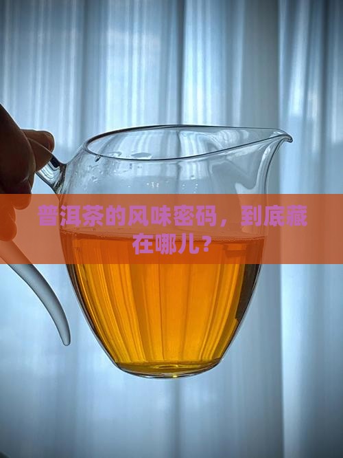 普洱茶风味体系