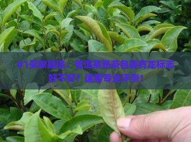 普洱茶熟茶包装带龙标志的