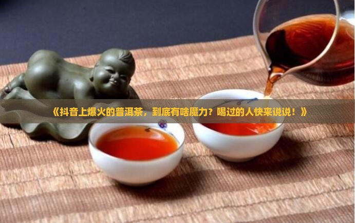 抖音卖的最火普洱茶