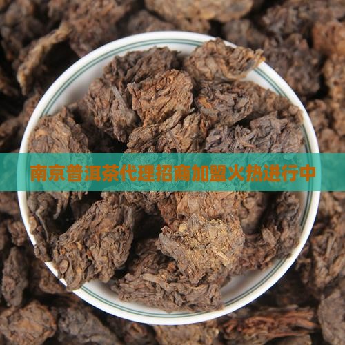 南京普洱茶代理招商加盟
