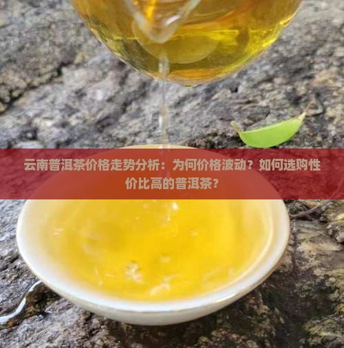映象云南的普洱茶价格