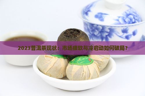 2023普洱茶现状