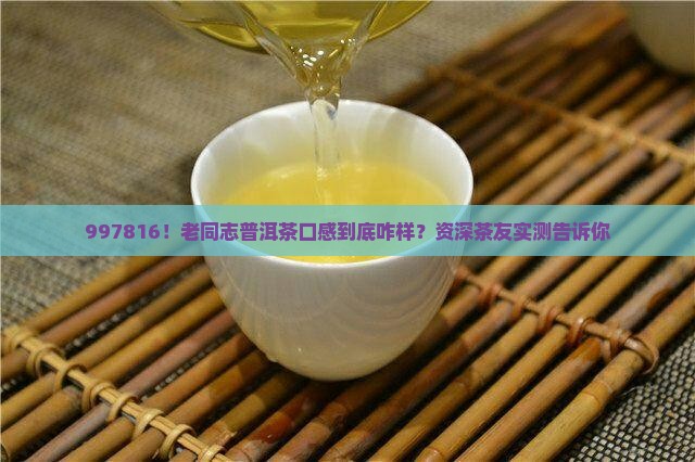 老同志普洱茶997816测评