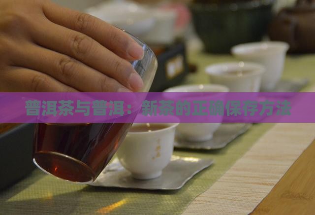 普洱茶新茶怎么保存