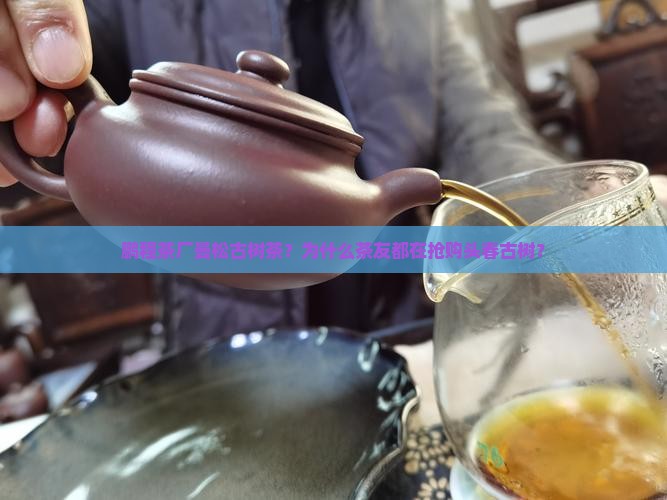 鹏程茶厂曼松古树茶