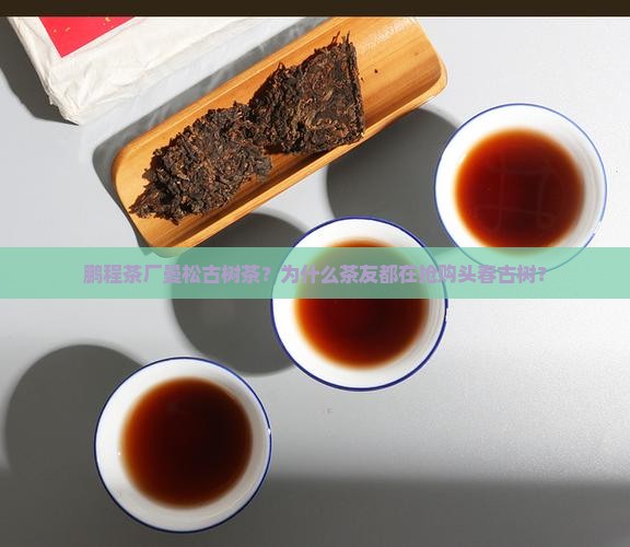 鹏程茶厂曼松古树茶