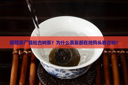 鹏程茶厂曼松古树茶