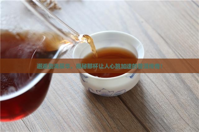 勐海辰华普洱茶