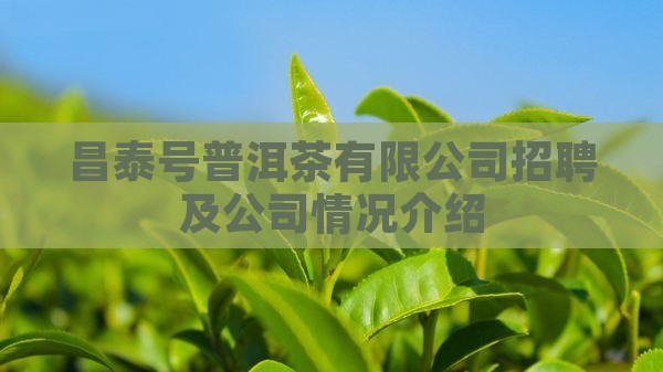 昌泰号普洱茶有限公司