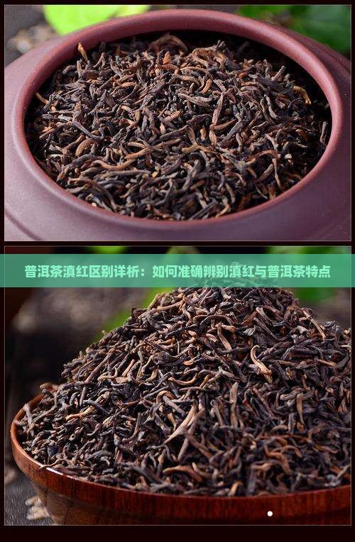 滇红普洱茶怎么辨别