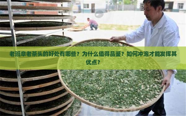 老班章老茶头的好处