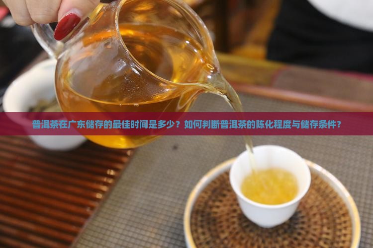 普洱茶广东储存时间