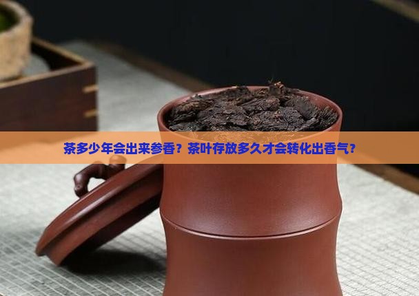 茶多少年会出来参香